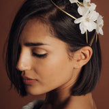 Amatria Novia