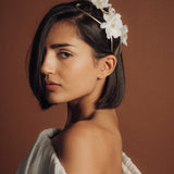 Amatria Novia