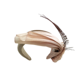 Cirera