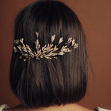 Iria Novia