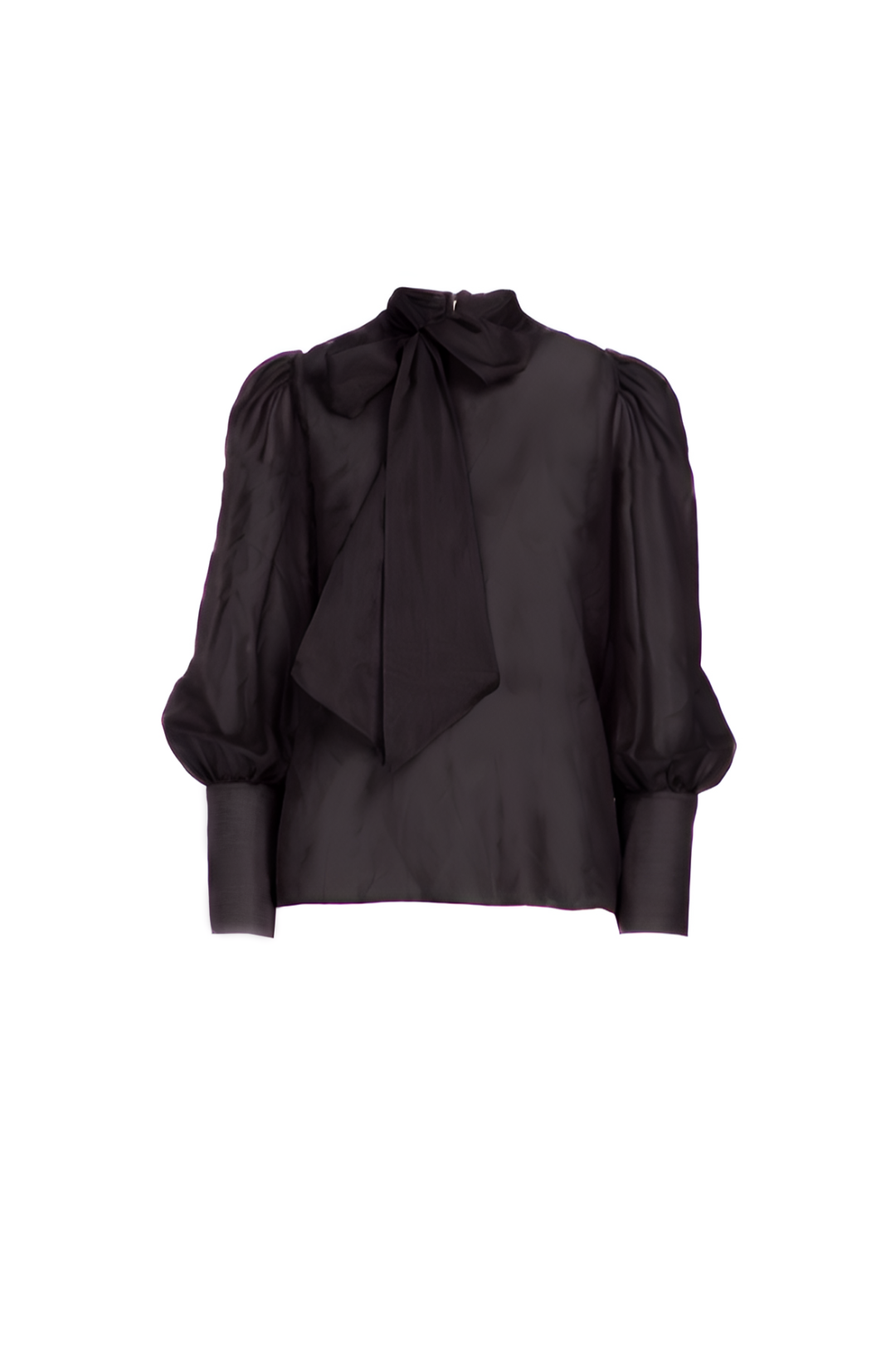Top Ari Negro