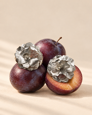 GoldenFlor Plata Small