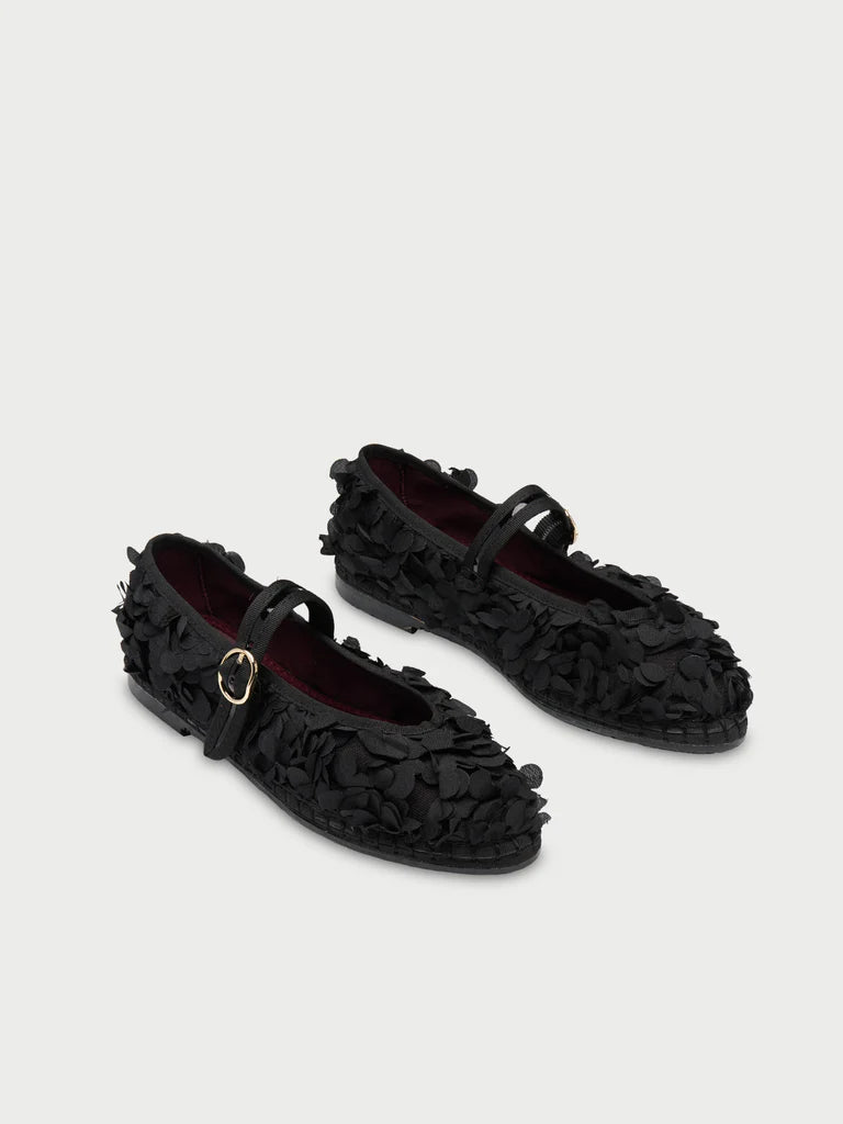 Pierre Lotus Black Flabelus