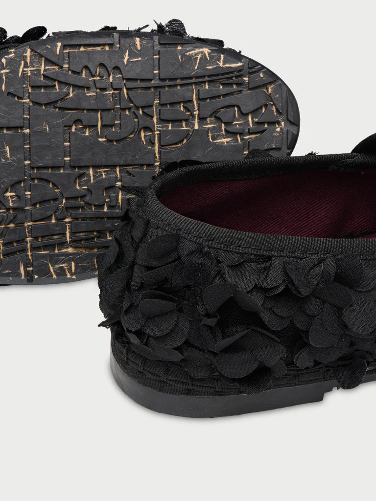Pierre Lotus Black Flabelus