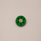 Charm Kiwi