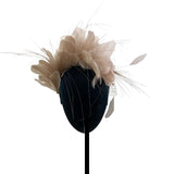 Allium