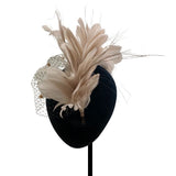 Allium