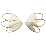 White Swan