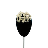 Bride's Mitre